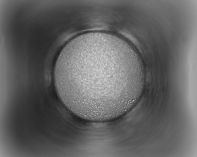 X0000089901407200707192024