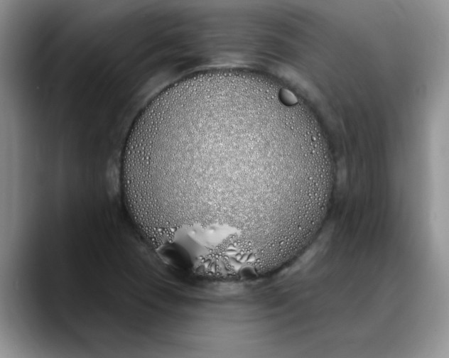 X0000089901409200707192024