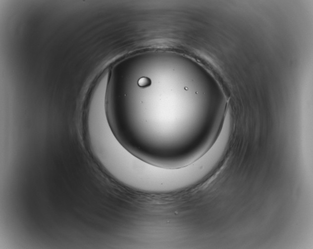 X0000089901410200707192024