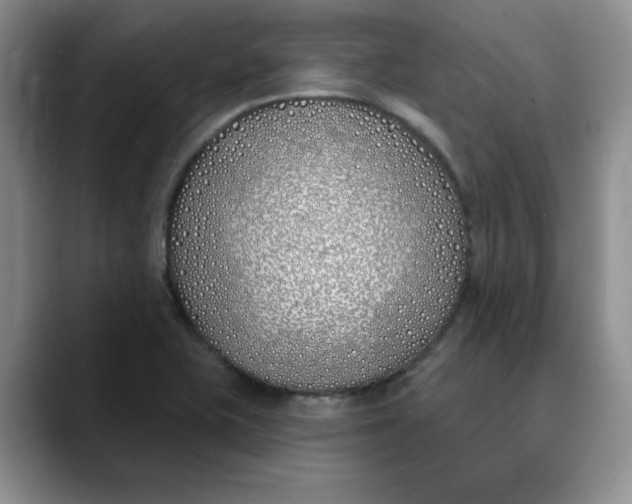 X0000089901415200707192024