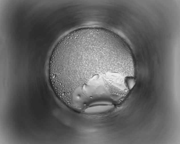 X0000089901421200707192024