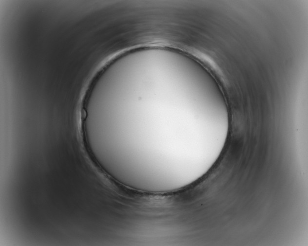 X0000089901424200707192025