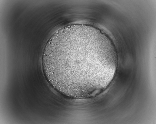 X0000089901425200707192025