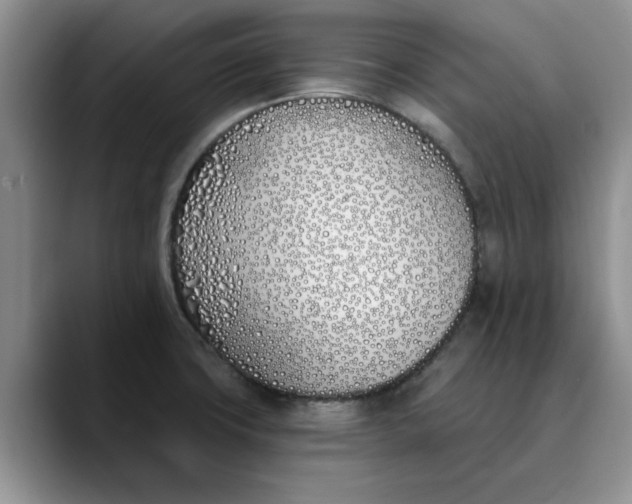 X0000089901427200707192025