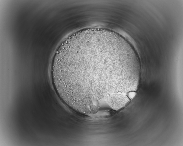 X0000089901429200707192025