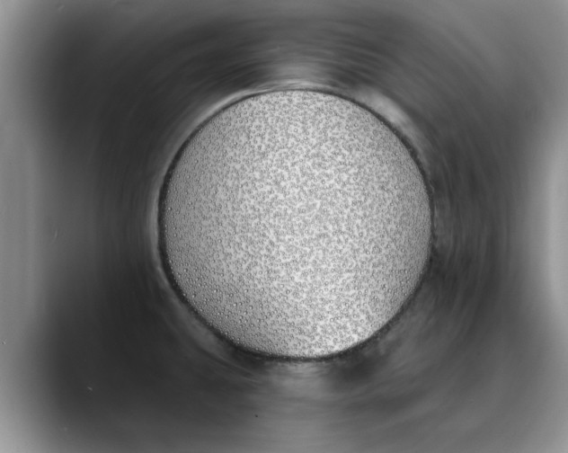 X0000089901431200707192025