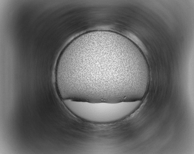 X0000089901436200707192025