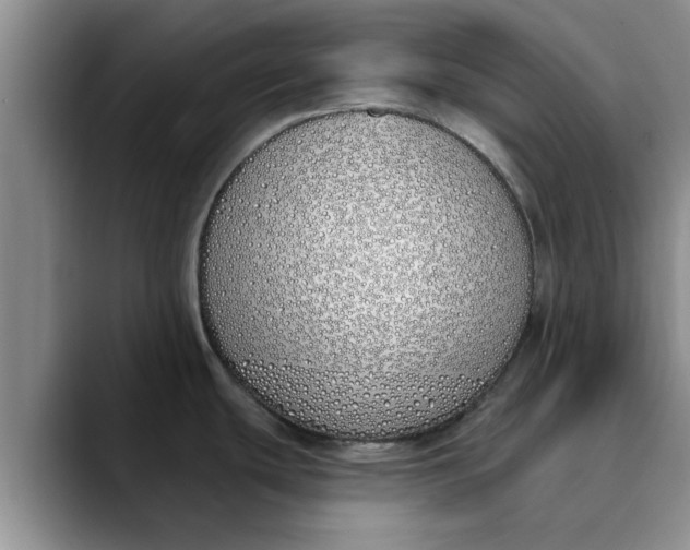 X0000089901439200707192025