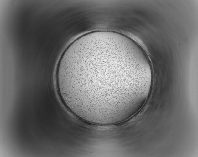 X0000089901440200707192025
