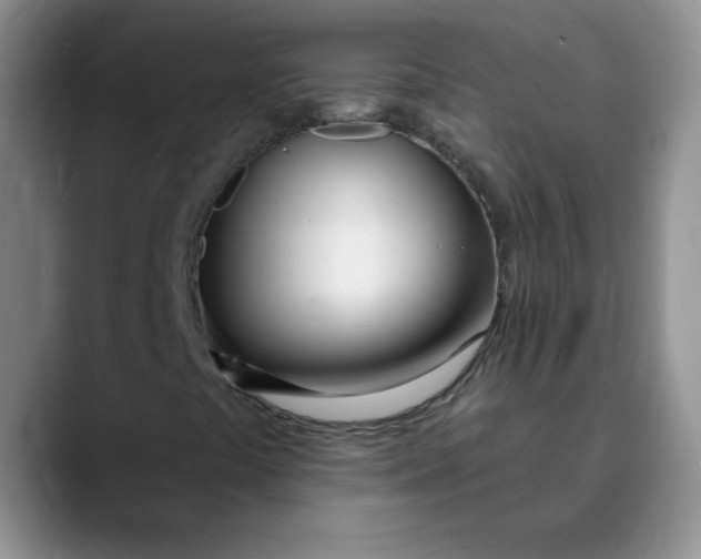 X0000089901441200707192024