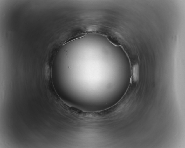 X0000089901443200707192024
