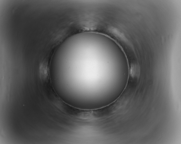 X0000089901444200707192024