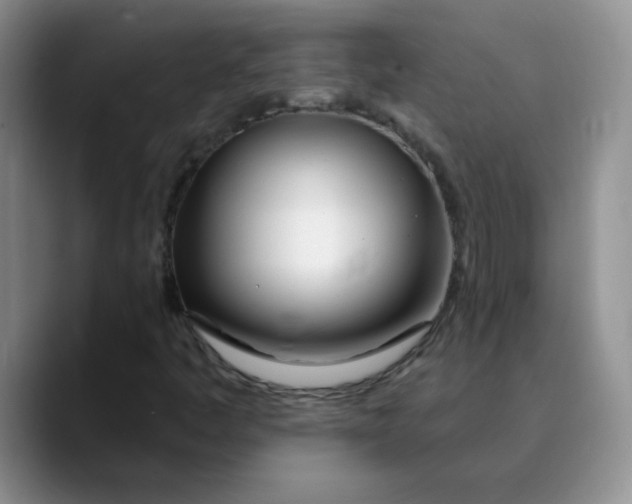 X0000089901445200707192024