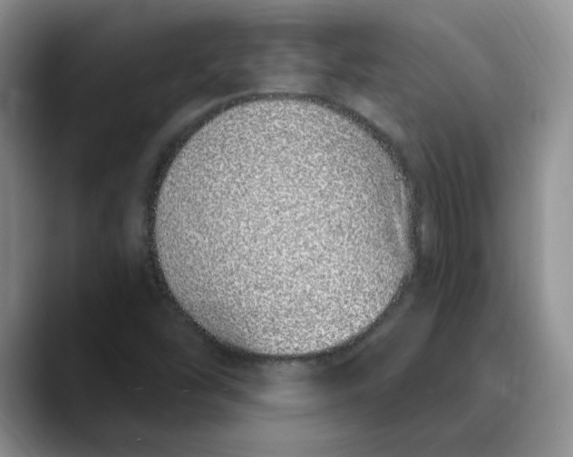 X0000089901454200707192024