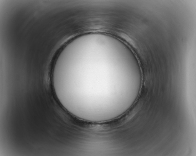X0000089901458200707192024