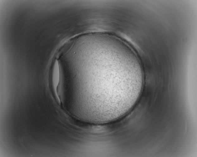 X0000089901459200707192024