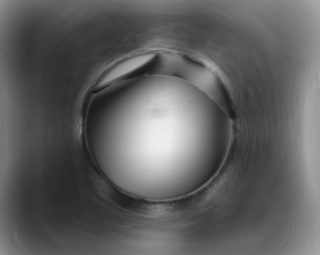 X0000089901461200707192024