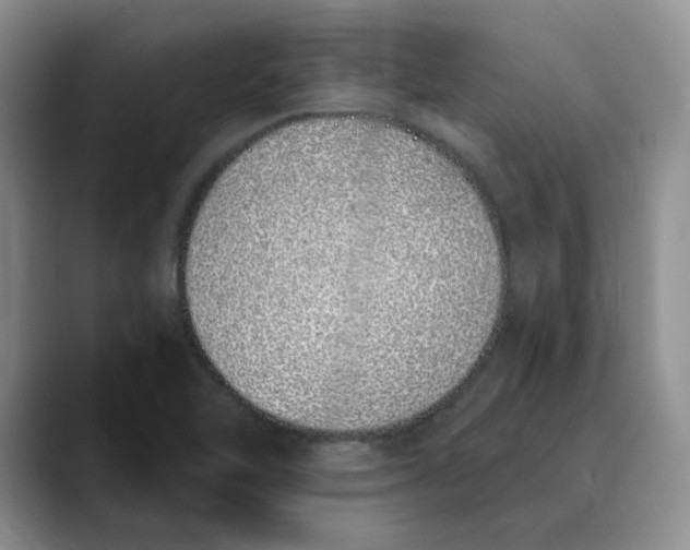 X0000089901462200707192024