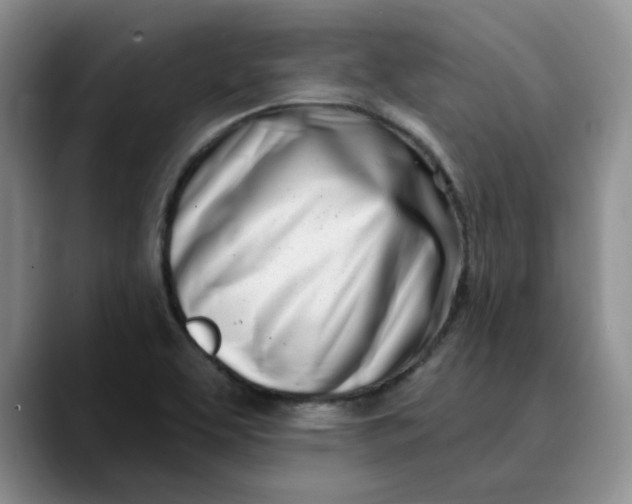 X0000089901463200707192024