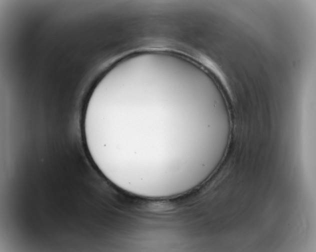 X0000089901464200707192024