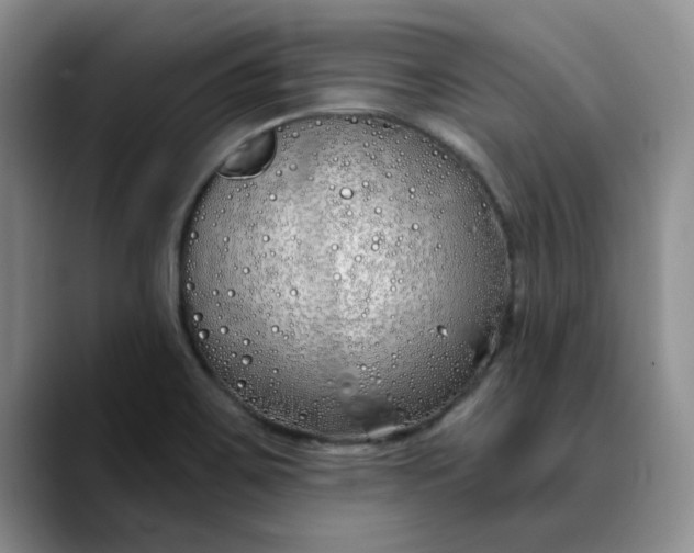 X0000089901467200707192024