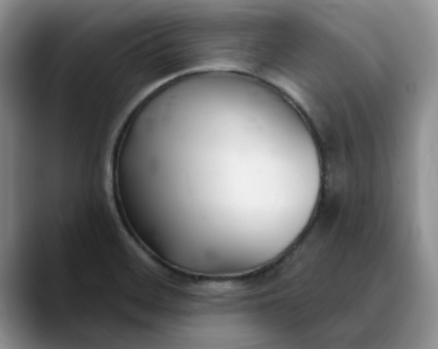 X0000089901468200707192024