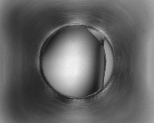 X0000089901469200707192024