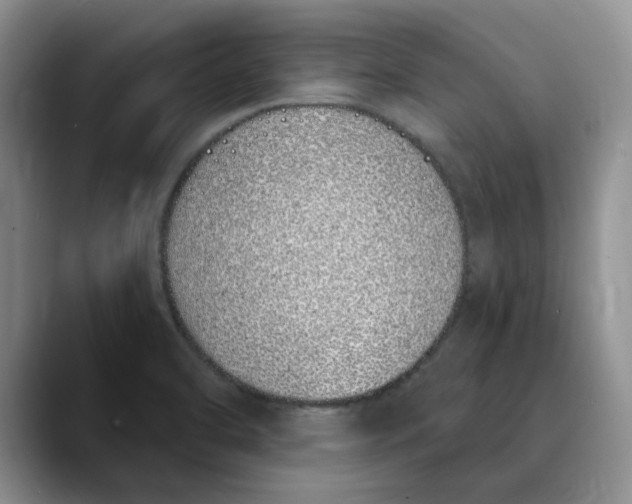 X0000089901470200707192024