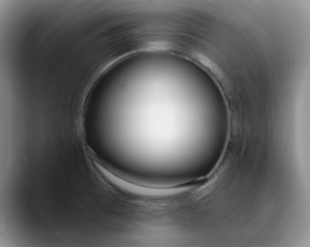 X0000089901473200707192024
