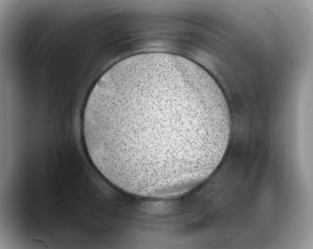 X0000089901474200707192024