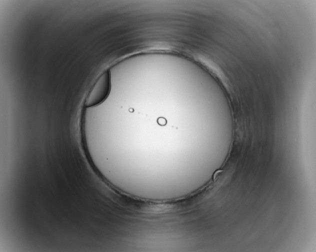 X0000089901475200707192024