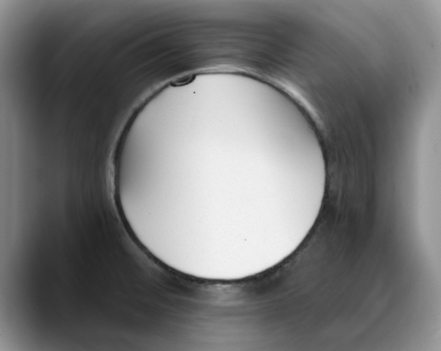 X0000089901476200707192024