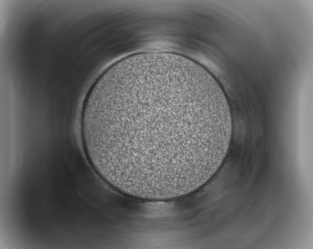 X0000089901478200707192024