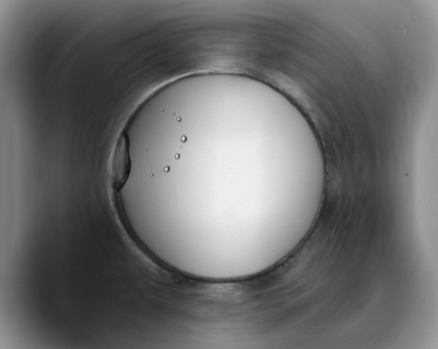 X0000089901479200707192024