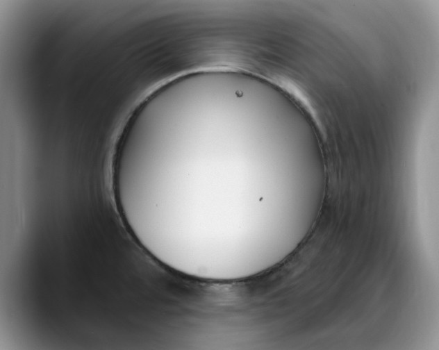 X0000089901480200707192024