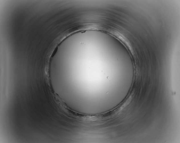 X0000089901481200707192024