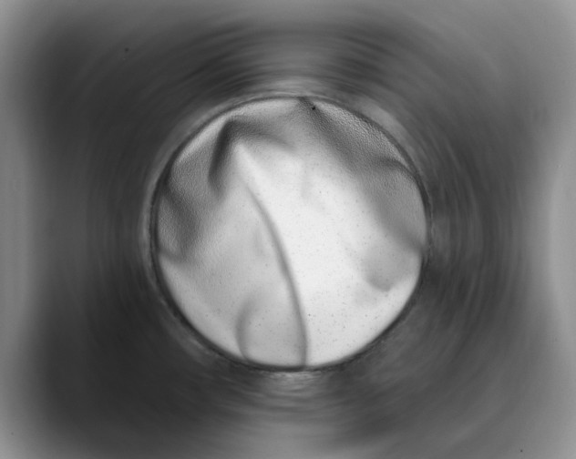 X0000089901482200707192024