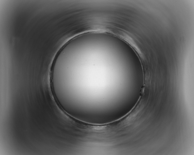 X0000089901484200707192024