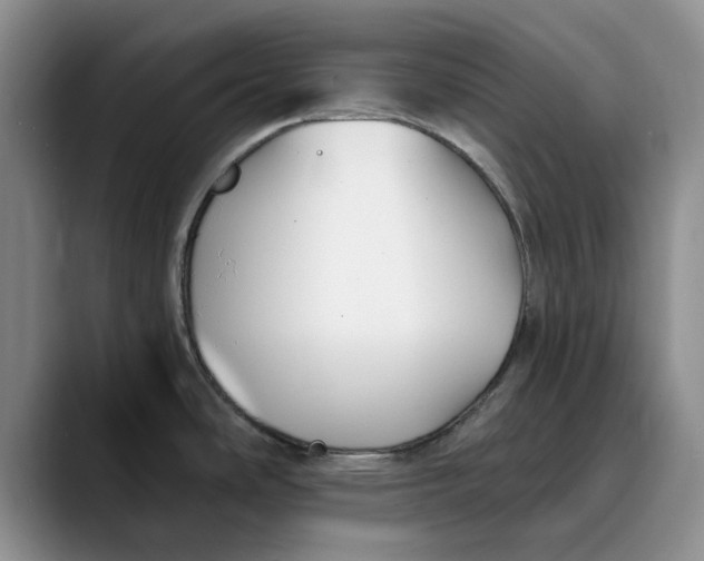 X0000089901486200707192024