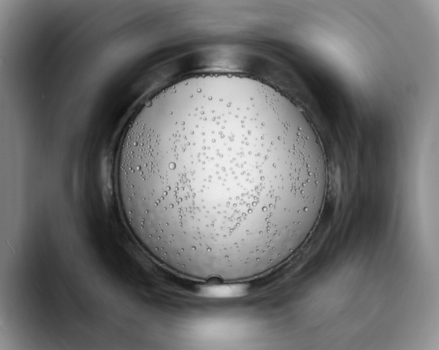 X0000089901487200707192024