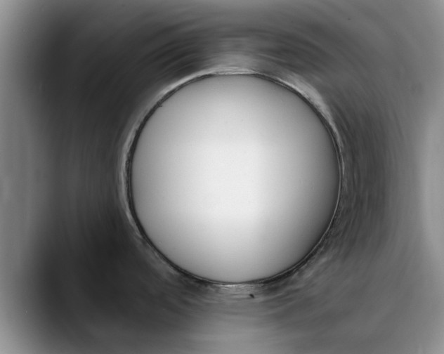 X0000089901488200707192024