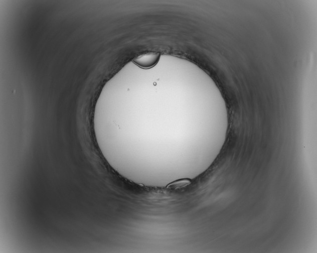 X0000089901489200707192023