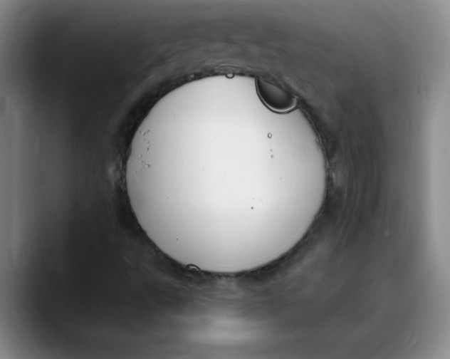 X0000089901495200707192023
