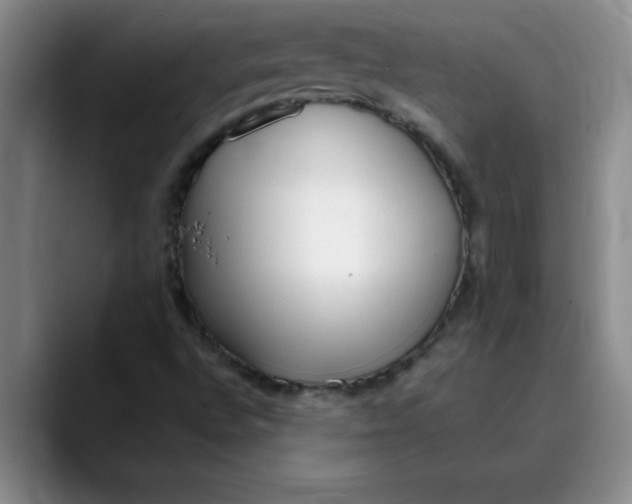 X0000089901496200707192023