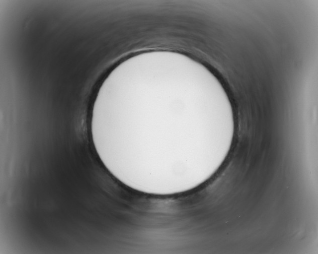 X0000089901498200707192023