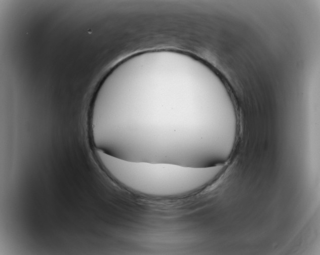 X0000089901500200707192023
