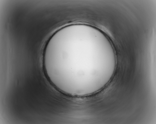 X0000089901504200707192023