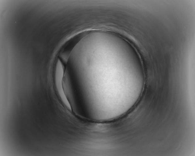 X0000089901506200707192023