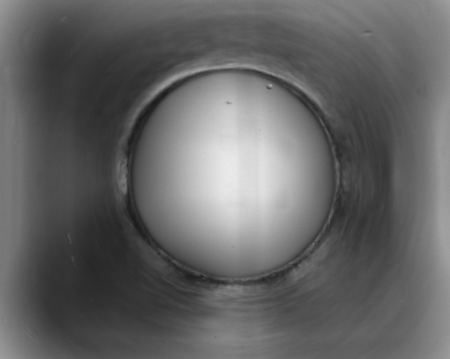 X0000089901510200707192023