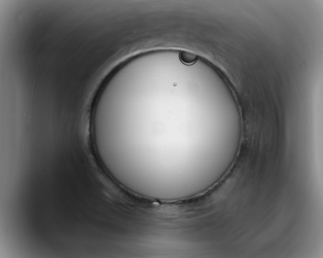 X0000089901511200707192023